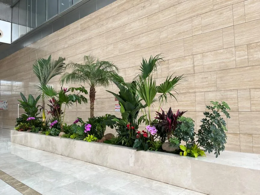 慈溪盆景租赁价格实惠